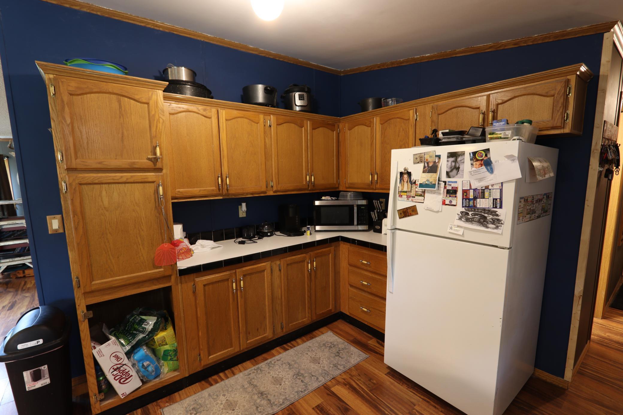 752 Lenmark Lane Badger, MN 56714 - Photo 13 of 42