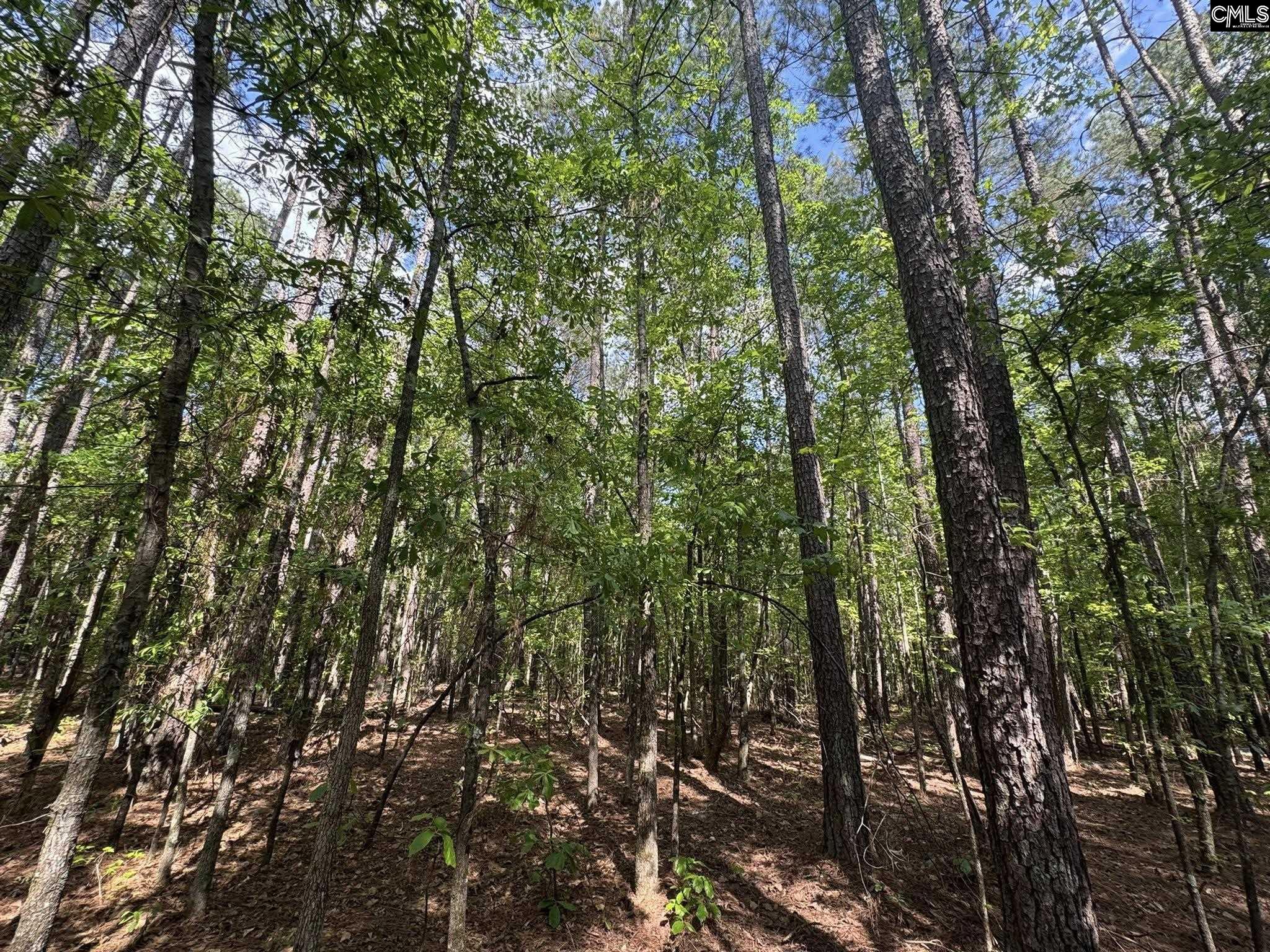 76 West W Highway Honea Path, SC 29654 - Photo 19 of 35
