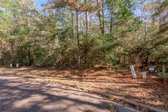 a view of a yard with large trees