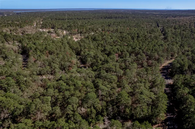 a view of a city with lush green forest