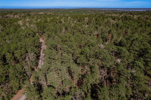 a view of a field with a forest