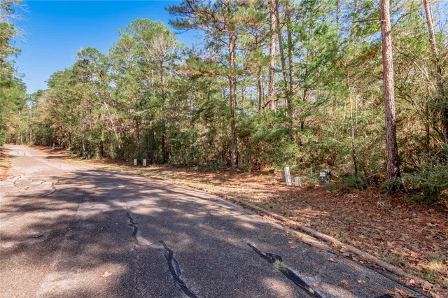 a view of a yard with large trees
