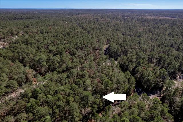 a aerial view of a house with a yard