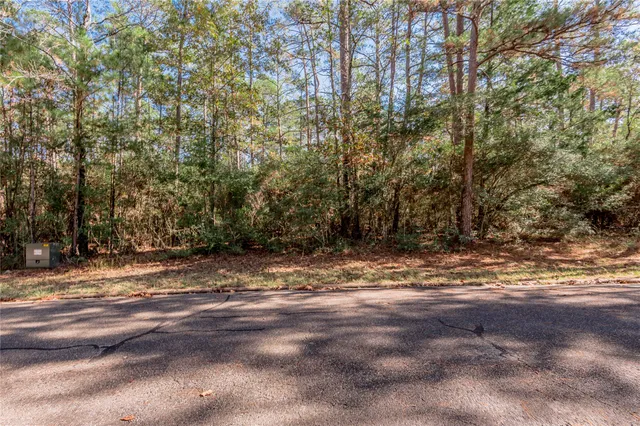 a view of a yard with large trees