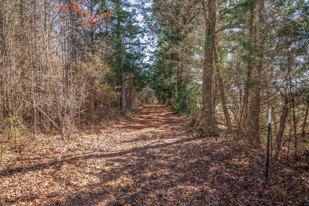3843 Farm To Market 2199 Marshall, TX 75672 - Photo 39 of 40 a view of outdoor space and trees