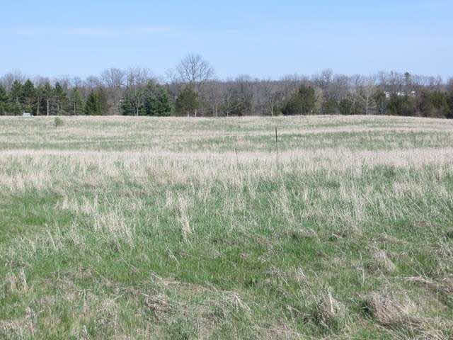 Cement City Road, Unit 16000 Brooklyn, MI 49230 - Photo 5 of 9
