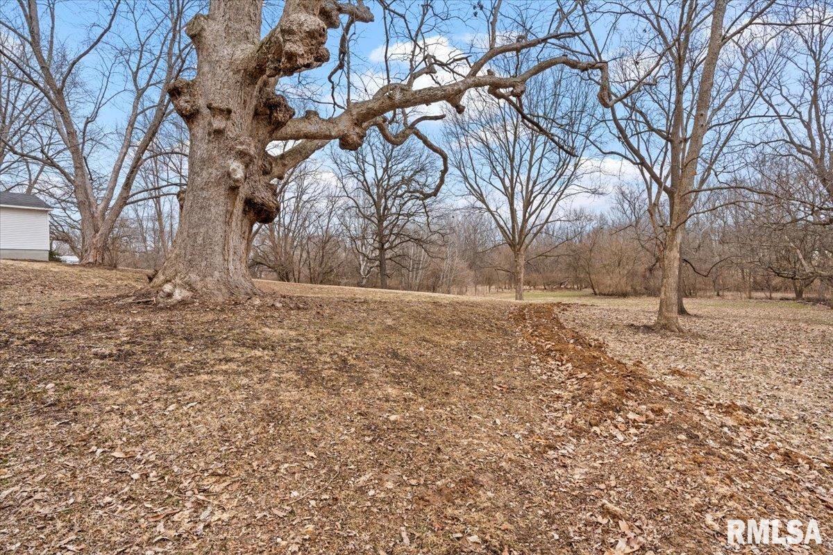 5602 Barlow Road Sherman, IL 62684 - Photo 34 of 46 Gallery Image 34