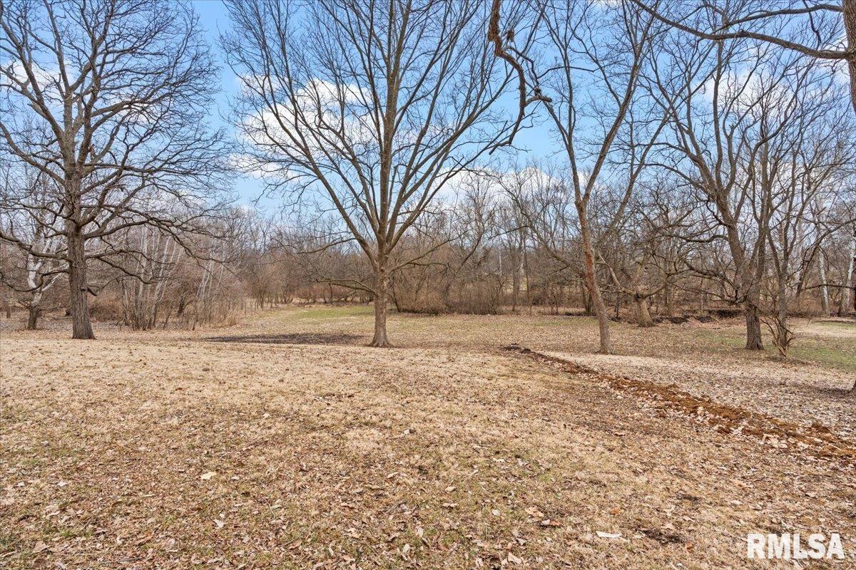 5602 Barlow Road Sherman, IL 62684 - Photo 35 of 46 Gallery Image 35