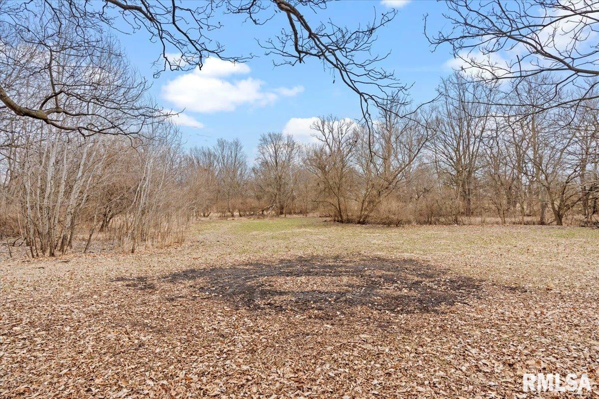 5602 Barlow Road Sherman, IL 62684 - Photo 37 of 46 Gallery Image 37