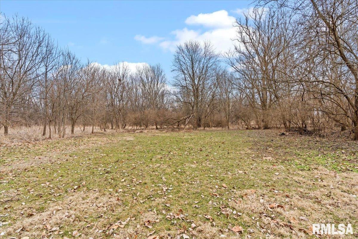 5602 Barlow Road Sherman, IL 62684 - Photo 38 of 46 Gallery Image 38