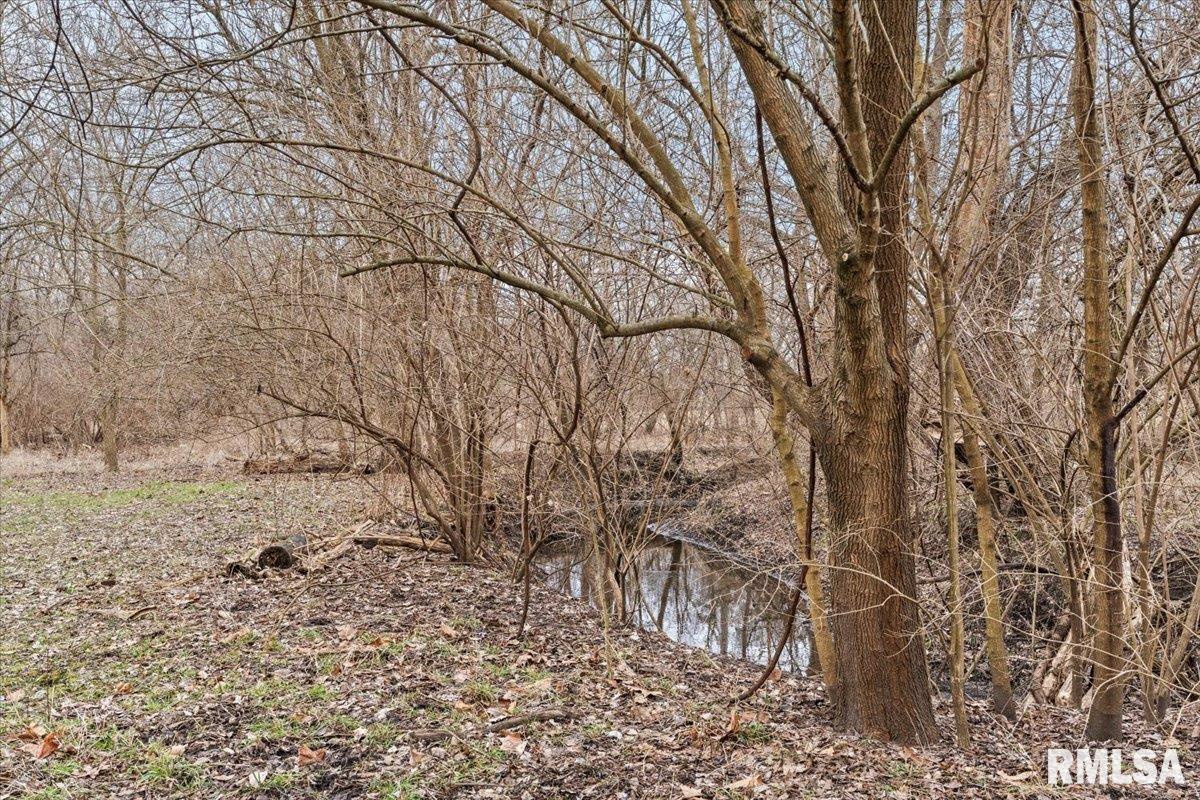 5602 Barlow Road Sherman, IL 62684 - Photo 39 of 46 Gallery Image 39
