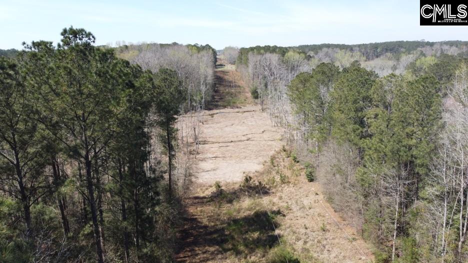 1672 Dixired Road Leesville, SC 29070 - Photo 67 of 67