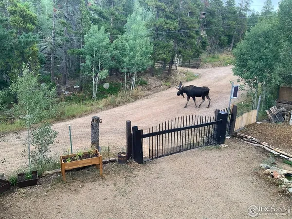 $875,000 | 5 Rudi Lane West, Golden, CO 80403