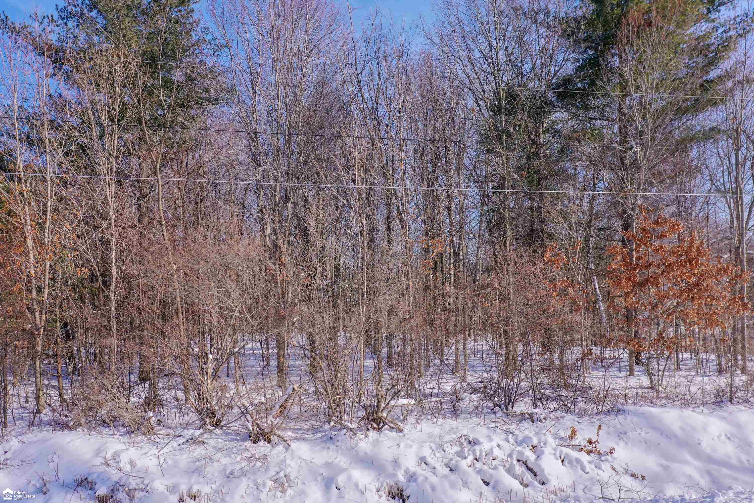 V/l River Grove Road Flushing, MI 48433 - Photo 4 of 10