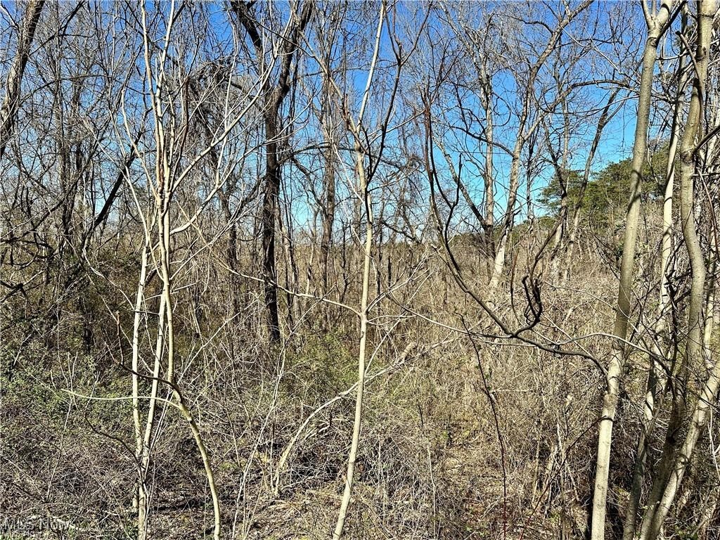 0 Fisher Ridge Road Fleming, OH 45729 - Photo 5 of 6 View of nature