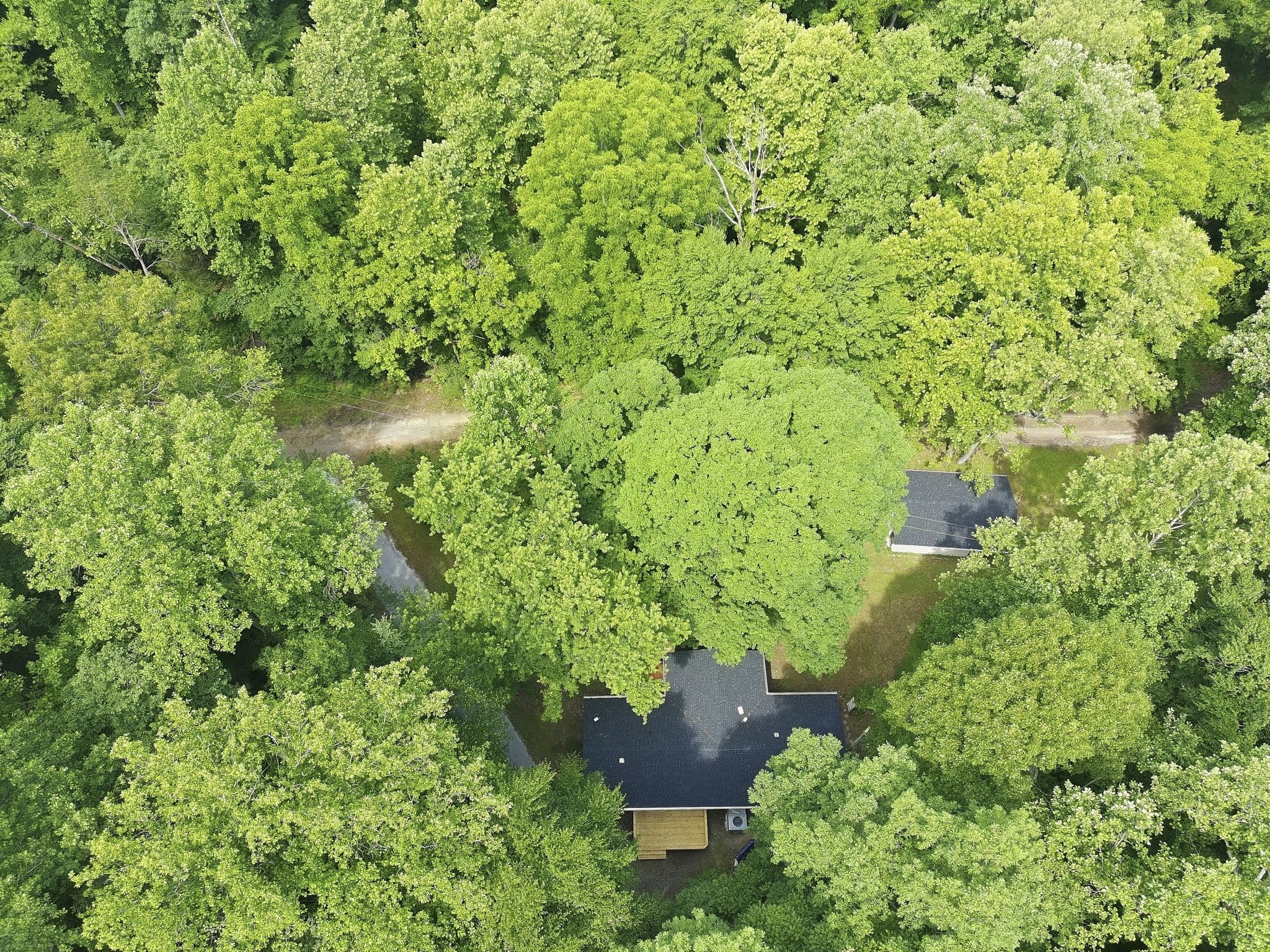 565 Clint Flowers Road McEwen, TN 37101 - Photo 46 of 51