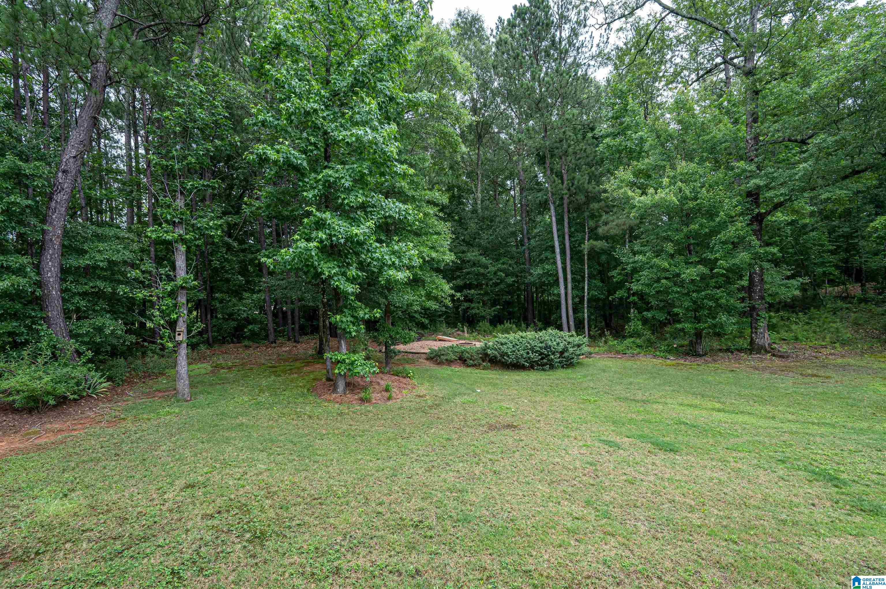276 Shore Front Lane Wilsonville, AL 35186 - Photo 43 of 47