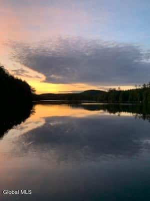 11 Tupper Ln Way Fort Ann, NY 12827 - Photo 2 of 51 Sunset on the Pond