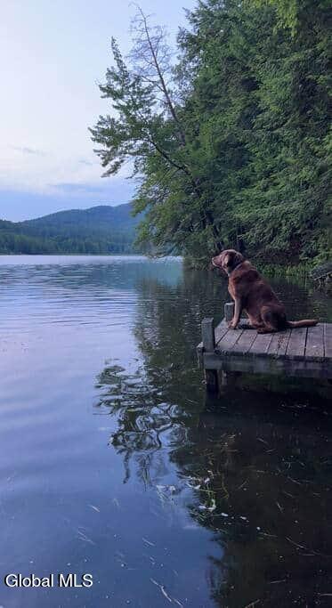 11 Tupper Ln Way Fort Ann, NY 12827 - Photo 46 of 51 eff379cf-9ab8-480c-9807-a081919019d9