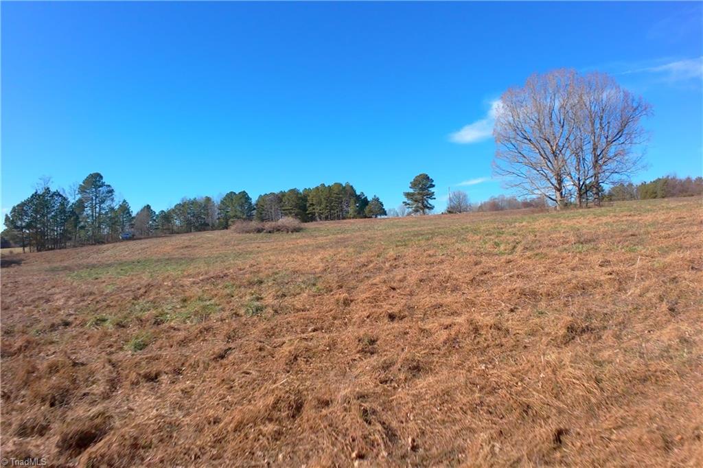 3 Earl Trail Climax, NC 27233 - Photo 20 of 31