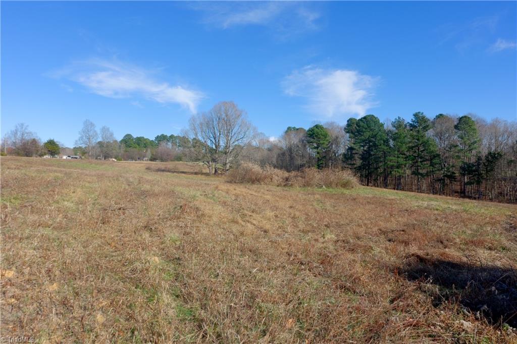 3 Earl Trail Climax, NC 27233 - Photo 2 of 31