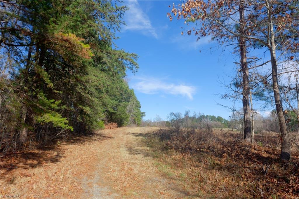 3 Earl Trail Climax, NC 27233 - Photo 23 of 31