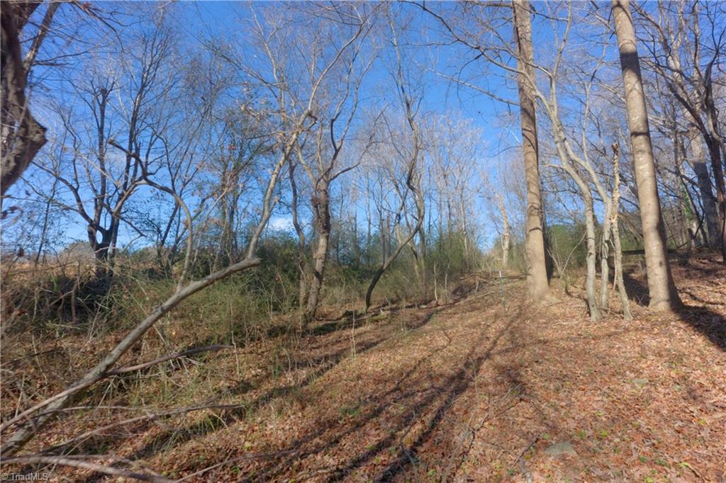 3 Earl Trail Climax, NC 27233 - Photo 25 of 31