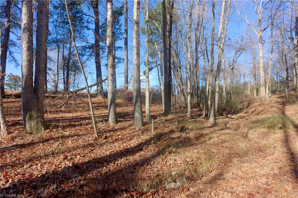 3 Earl Trail Climax, NC 27233 - Photo 26 of 31