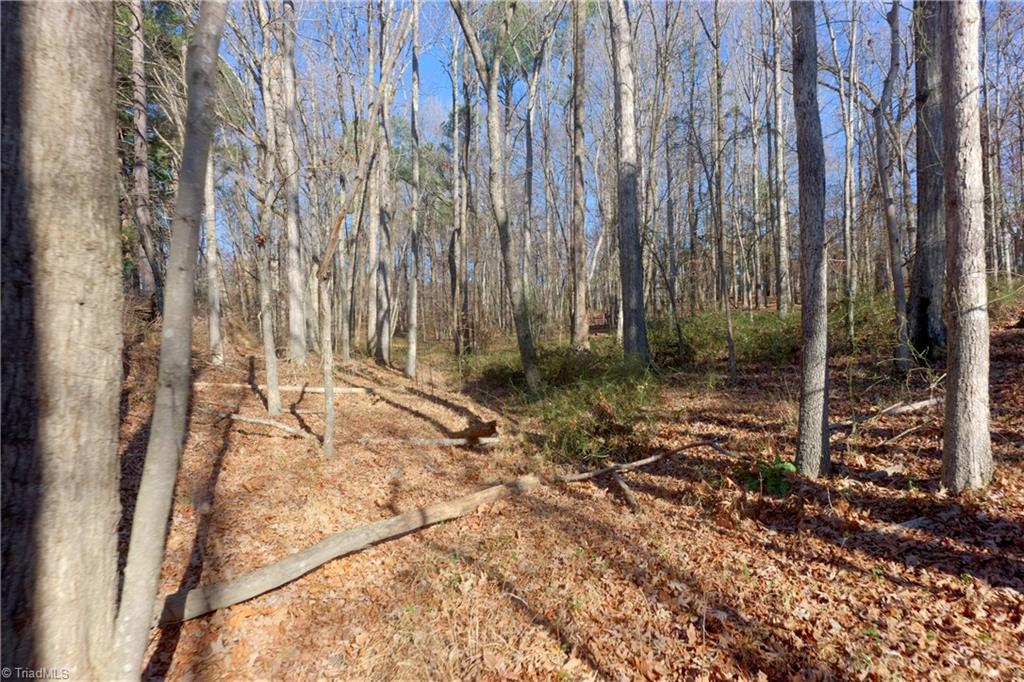 3 Earl Trail Climax, NC 27233 - Photo 27 of 31