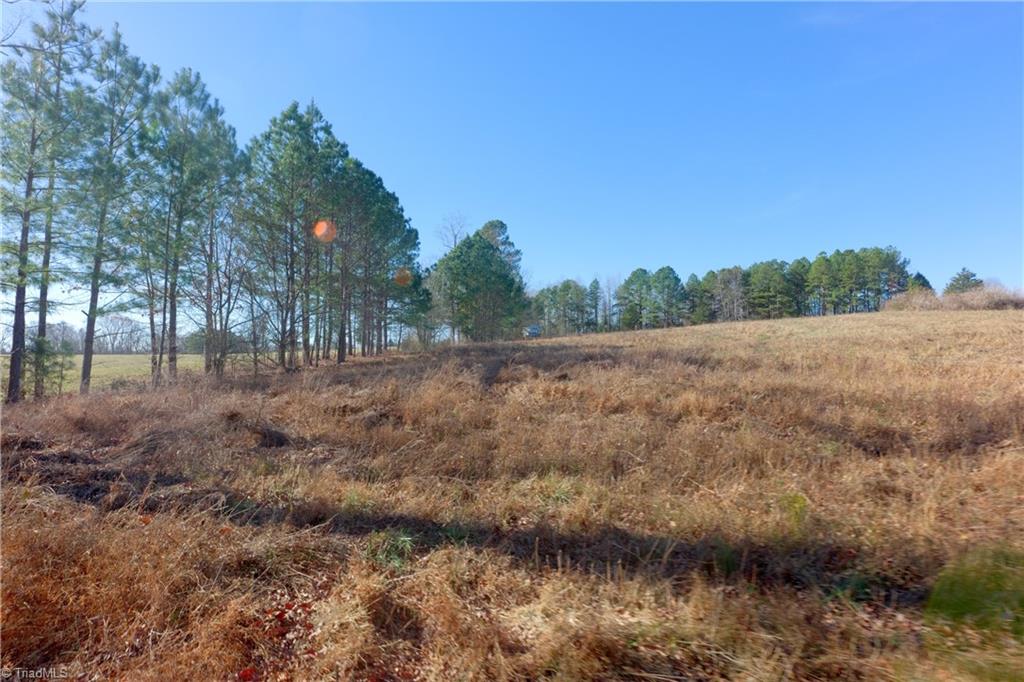 3 Earl Trail Climax, NC 27233 - Photo 29 of 31