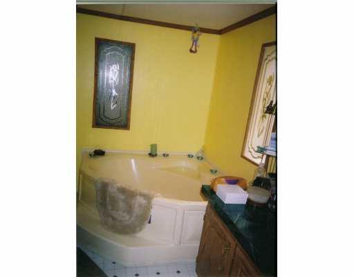 147 Whiteshill Road Rochester, PA 15074 - Photo 6 of 8 Master Bath/Spa.