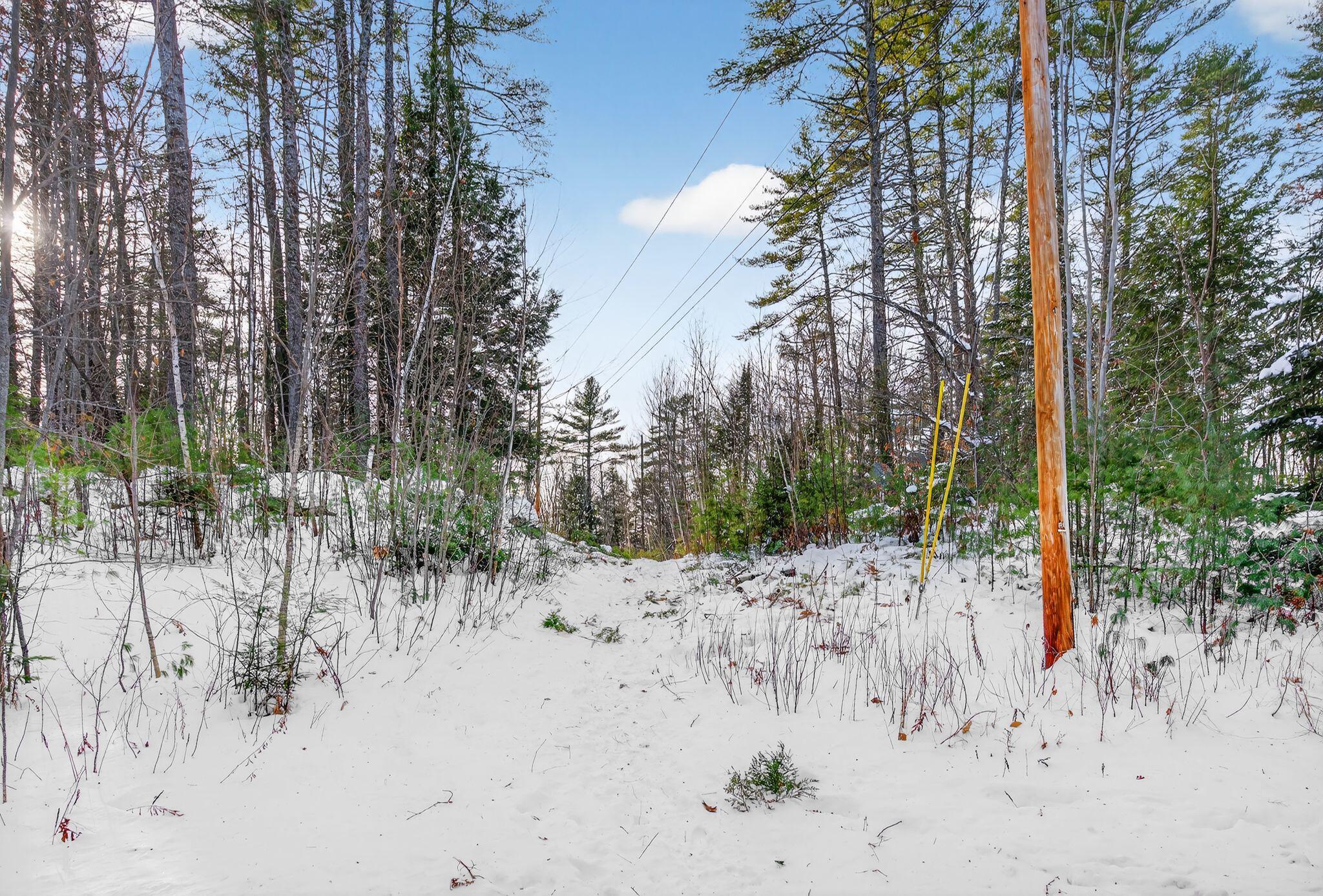 Lot 27-29a Kezar Lake Road Stow, ME 04037 - Photo 13 of 21 DSC08762