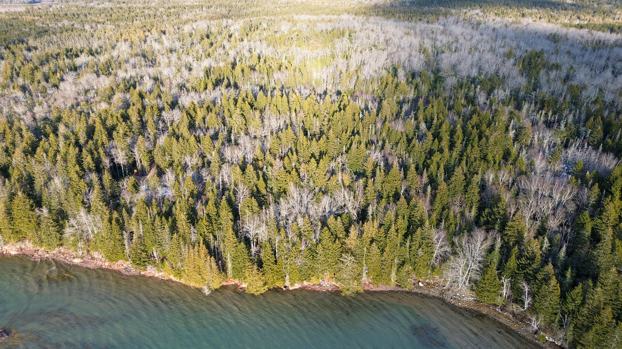 18 Collins Cove Road Machiasport, ME 04655 - Photo 10 of 20 10