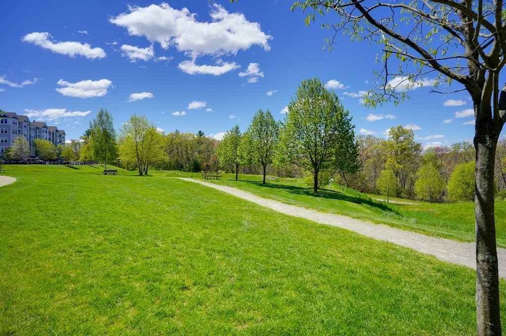 9 Morgan Drive, Unit 304 Natick, MA 01760 - Photo 21 of 25