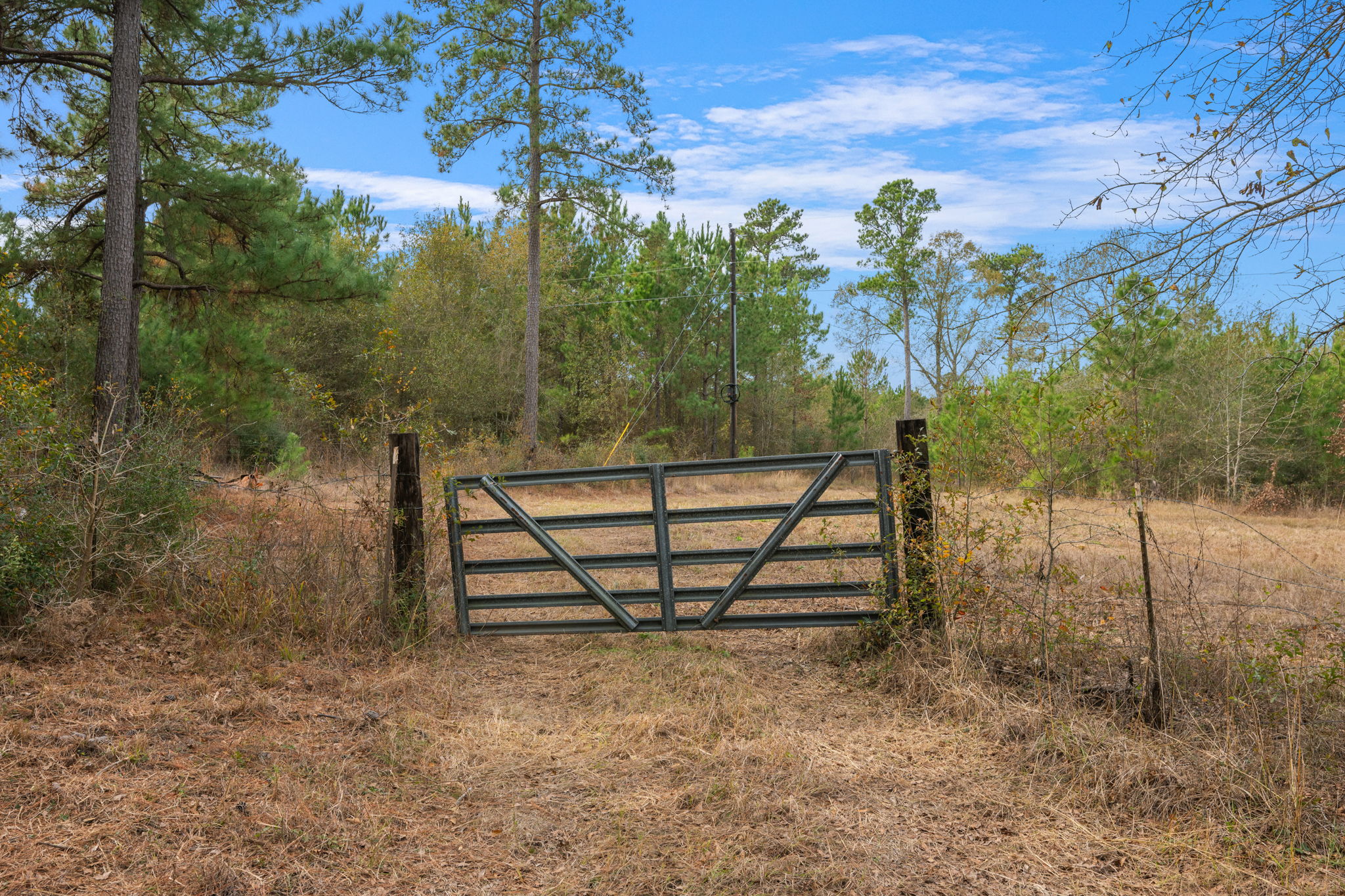 0 Dickey Loop Bedias, TX 77831 - Photo 11 of 40 a view of a bench in a backyard
