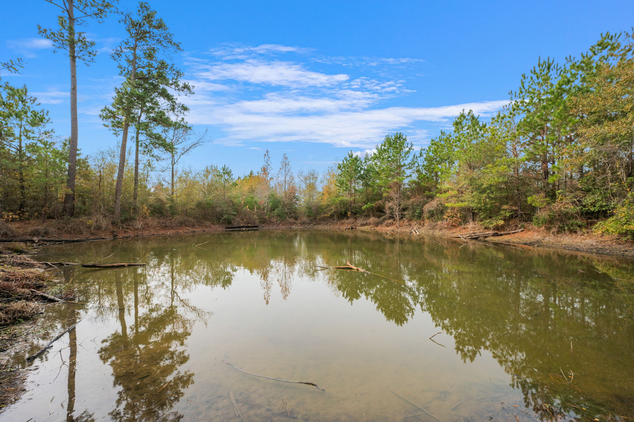0 Dickey Loop Bedias, TX 77831 - Photo 13 of 40