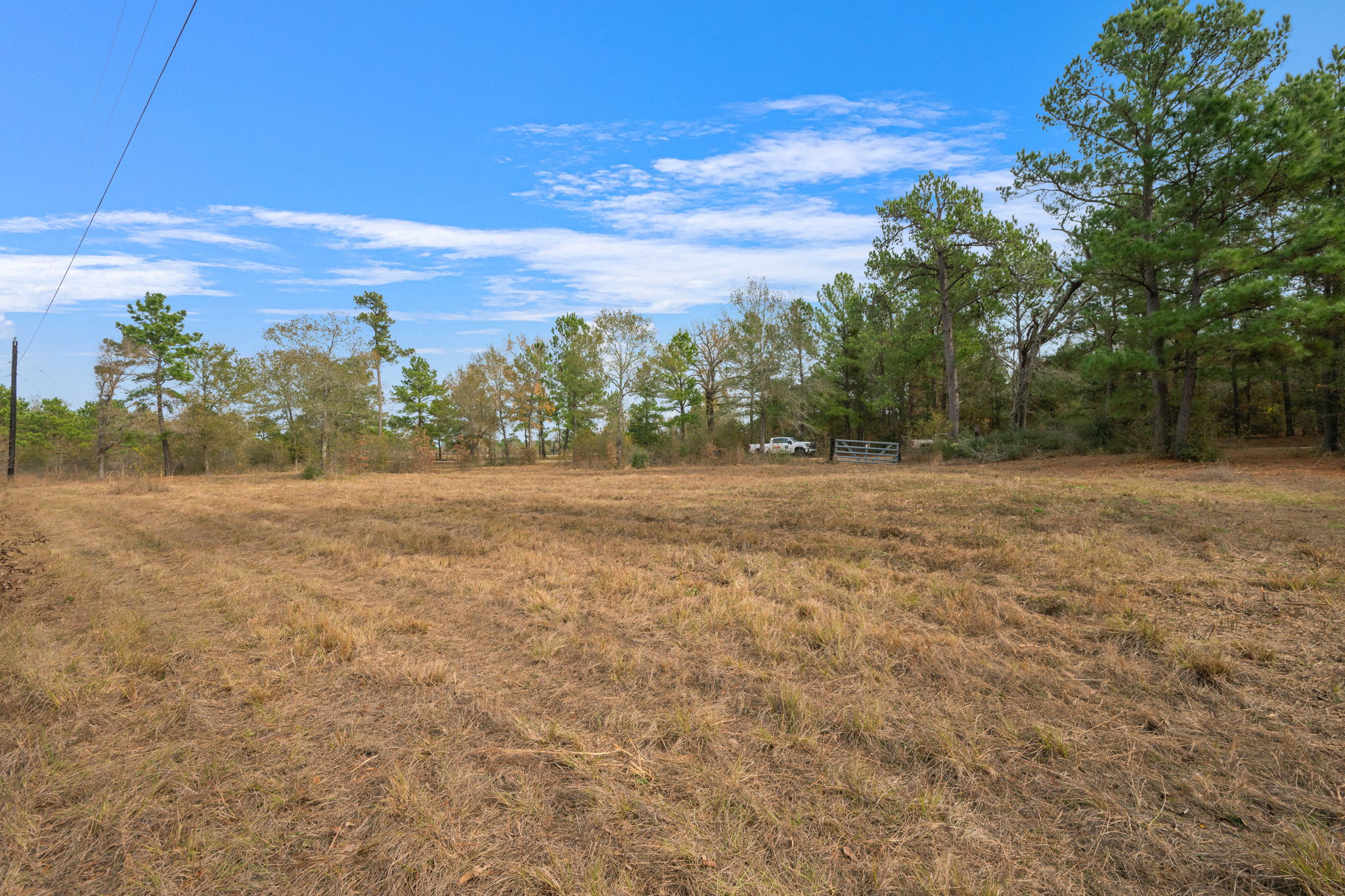 0 Dickey Loop Bedias, TX 77831 - Photo 14 of 40 a view of a field with trees in background