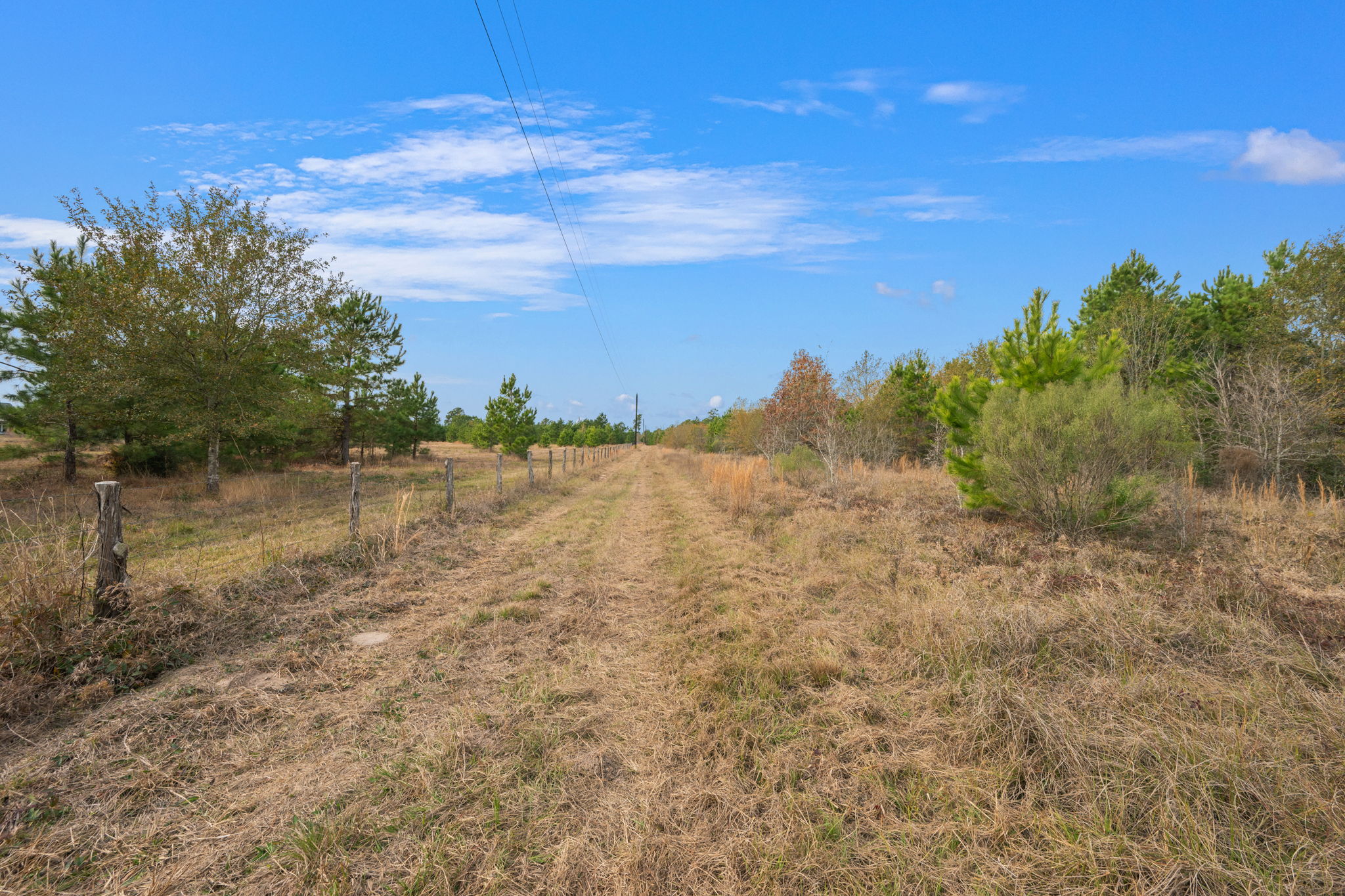 0 Dickey Loop Bedias, TX 77831 - Photo 15 of 40 a view of a lake view