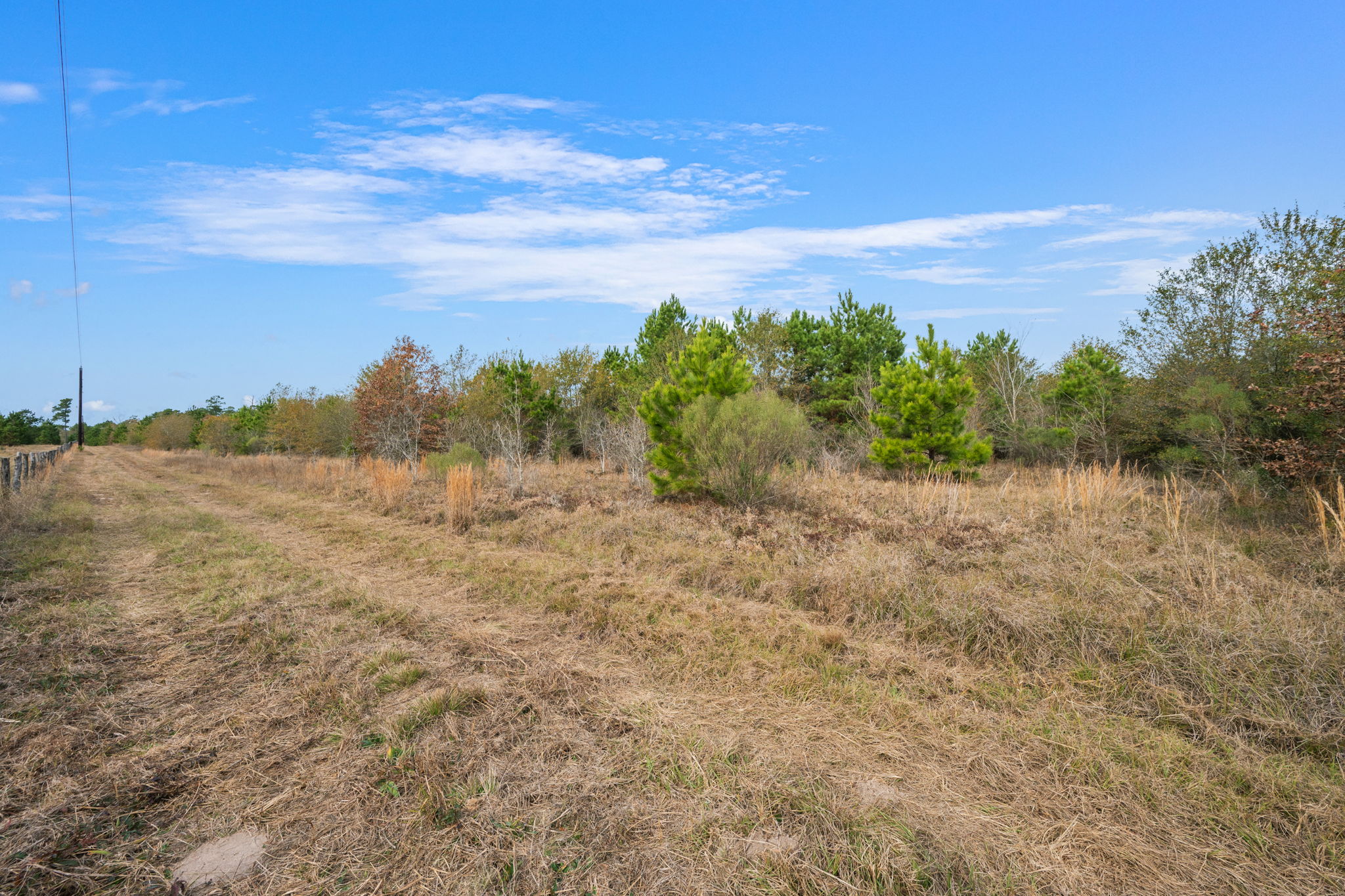 0 Dickey Loop Bedias, TX 77831 - Photo 16 of 40 a view of a field with an ocean