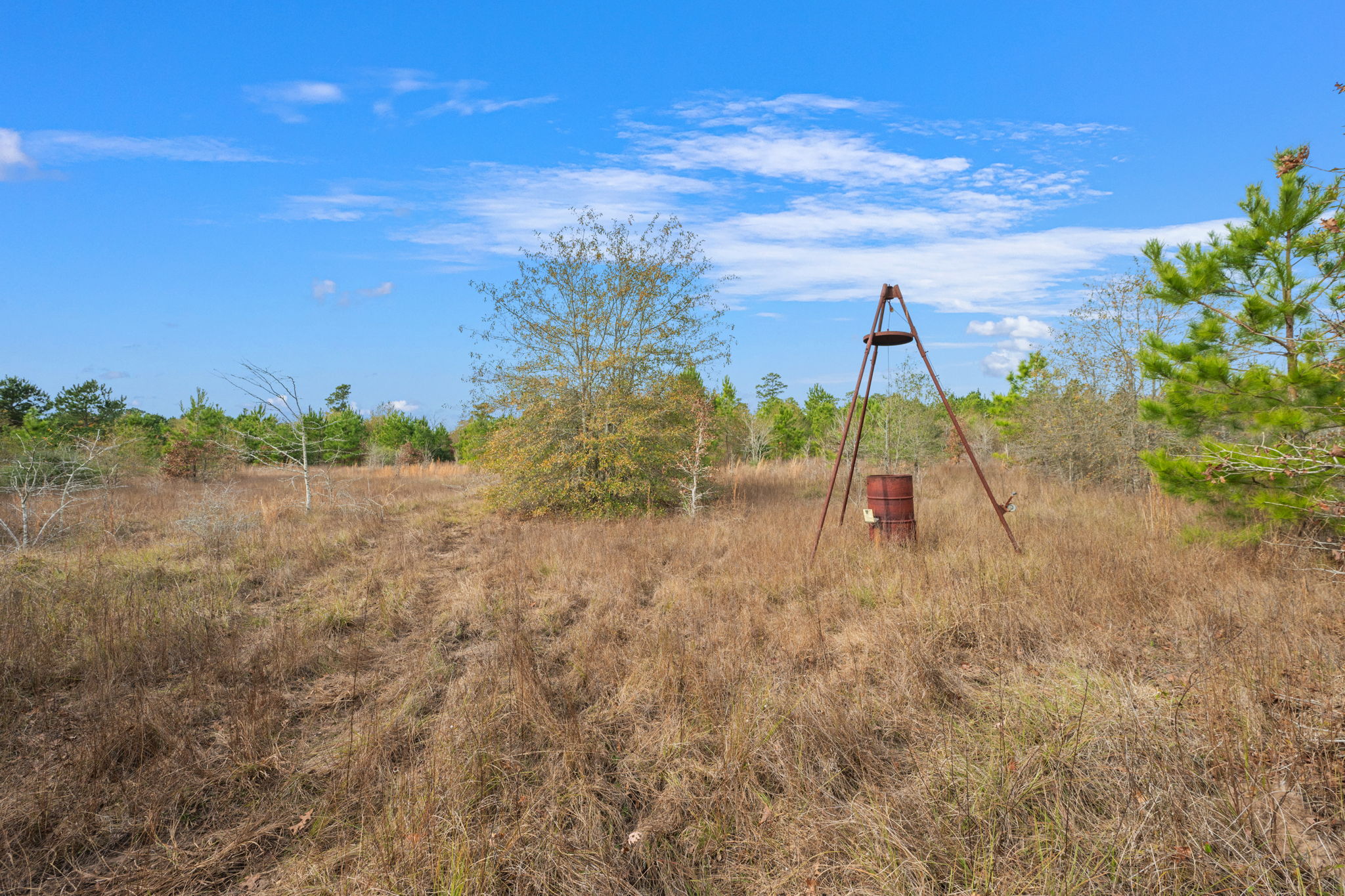 0 Dickey Loop Bedias, TX 77831 - Photo 17 of 40 a view of a lake with a yard