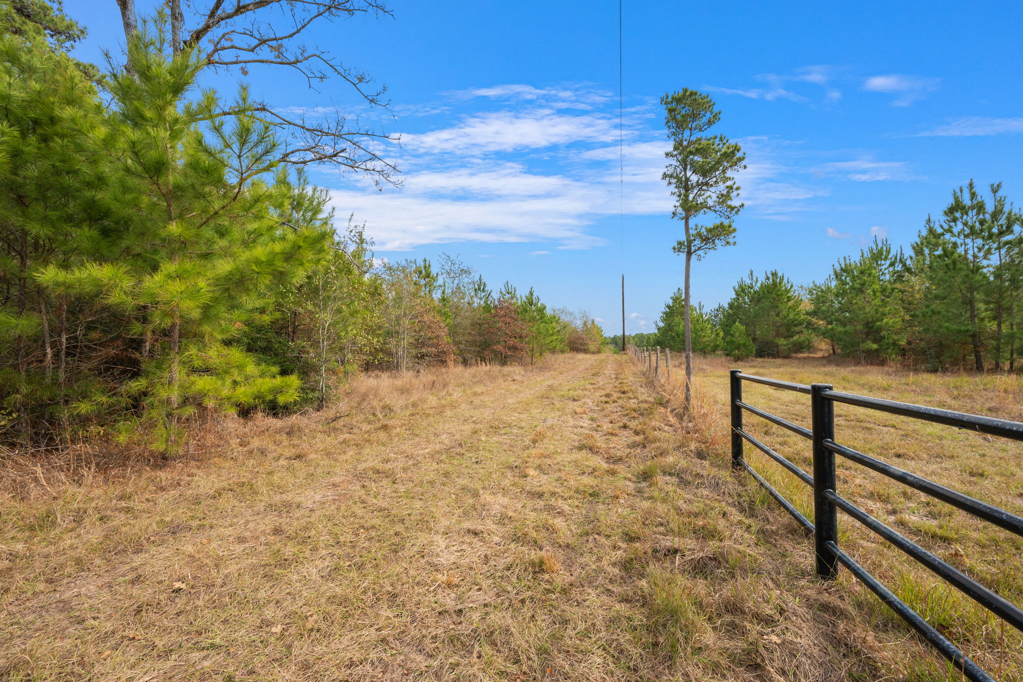 0 Dickey Loop Bedias, TX 77831 - Photo 18 of 40 a view of a yard with wooden fence