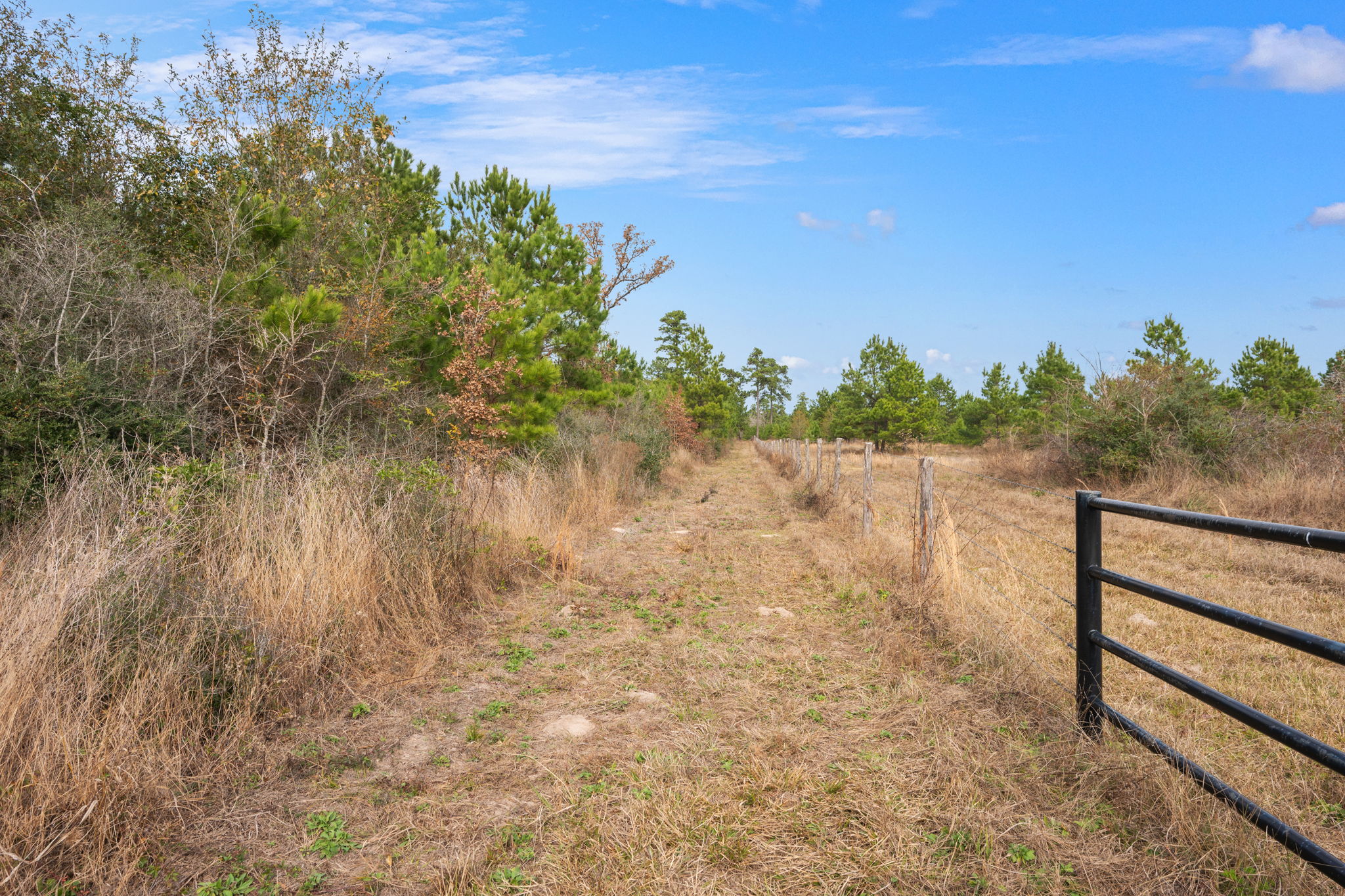 0 Dickey Loop Bedias, TX 77831 - Photo 28 of 40 a view of a yard with wooden fence