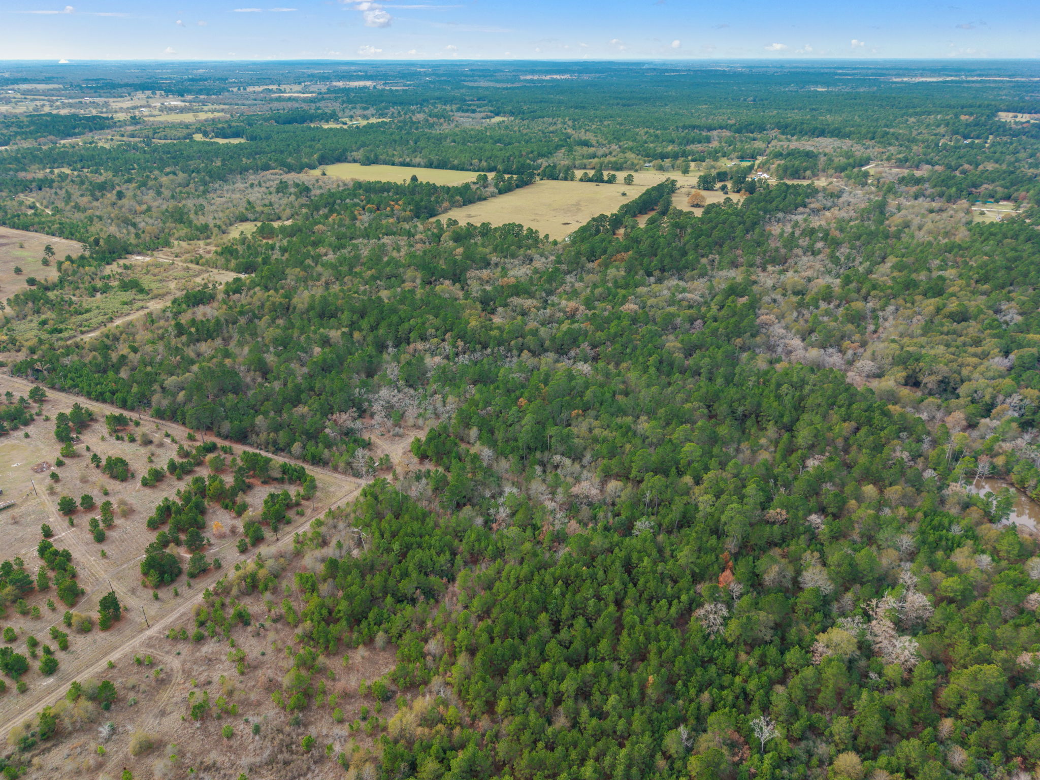 0 Dickey Loop Bedias, TX 77831 - Photo 3 of 40