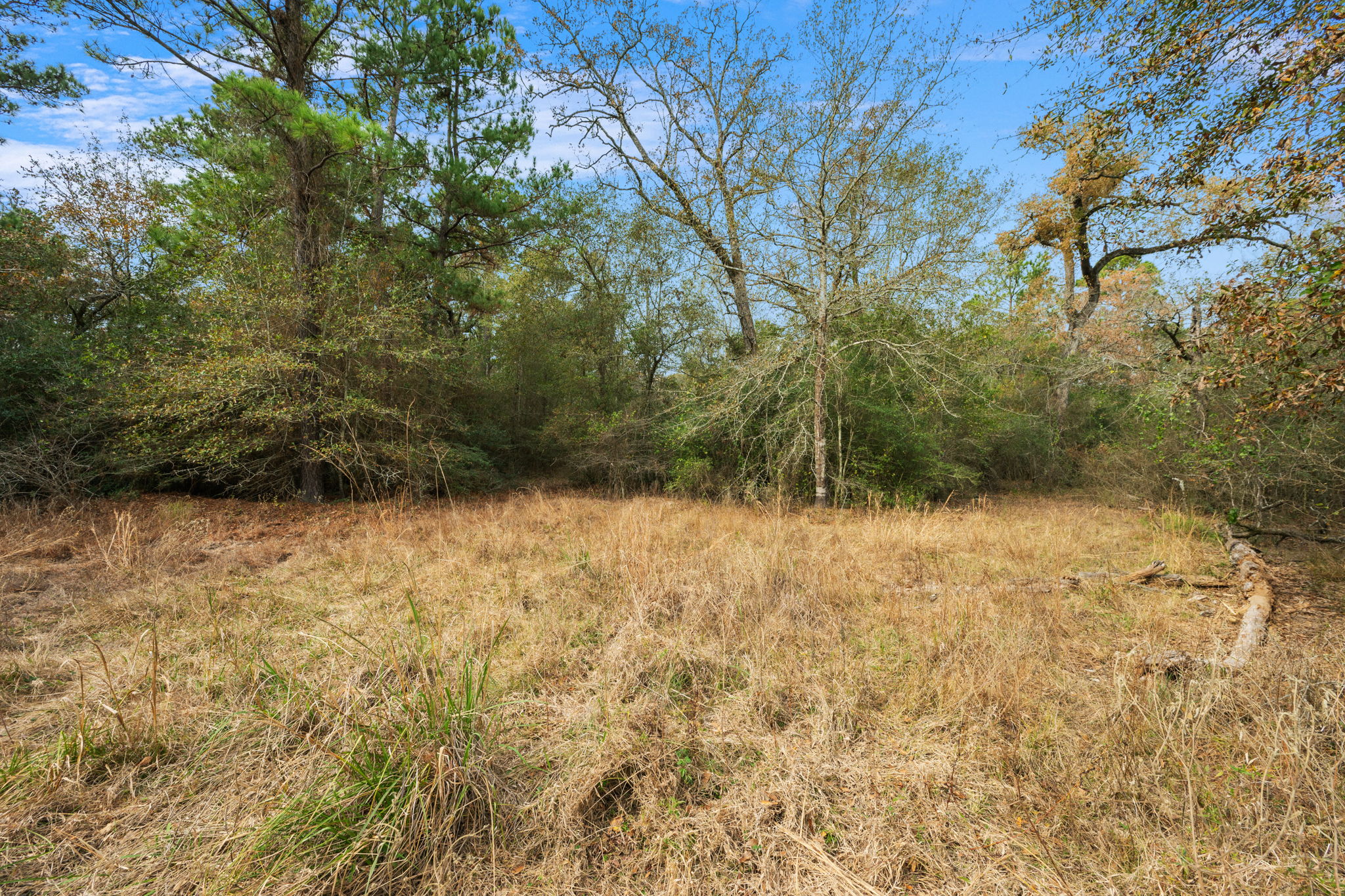 0 Dickey Loop Bedias, TX 77831 - Photo 33 of 40 a view of empty yard
