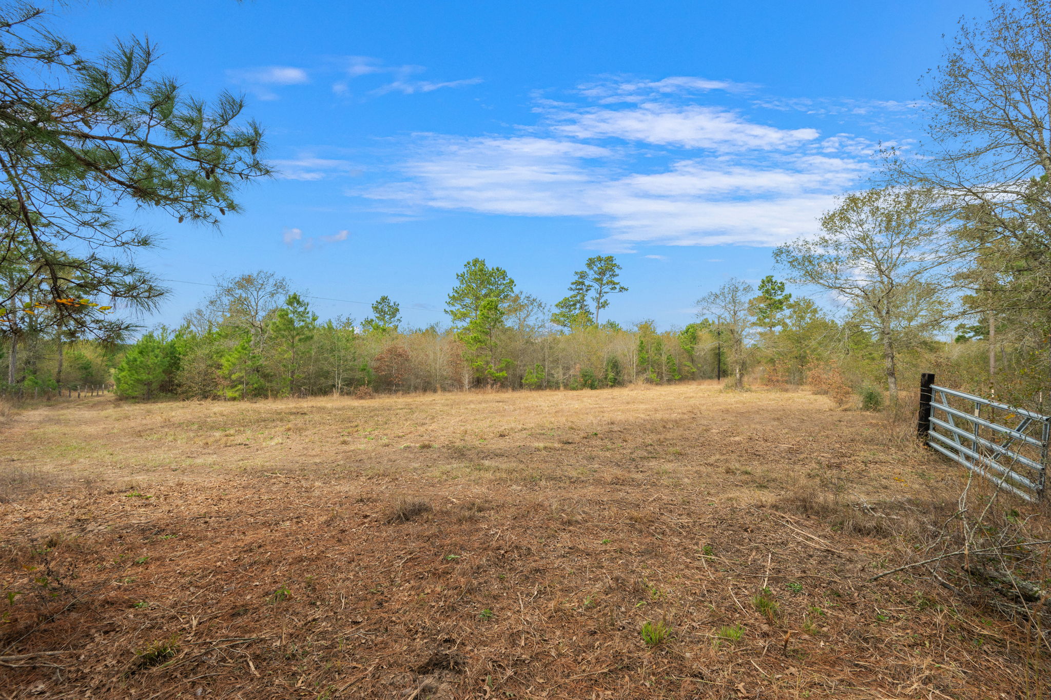 0 Dickey Loop Bedias, TX 77831 - Photo 36 of 40 a view of an outdoor space and yard