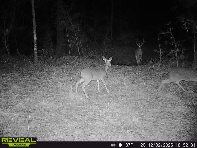 0 Dickey Loop Bedias, TX 77831 - Photo 37 of 40 a view of a wooden floor with a bench in patio