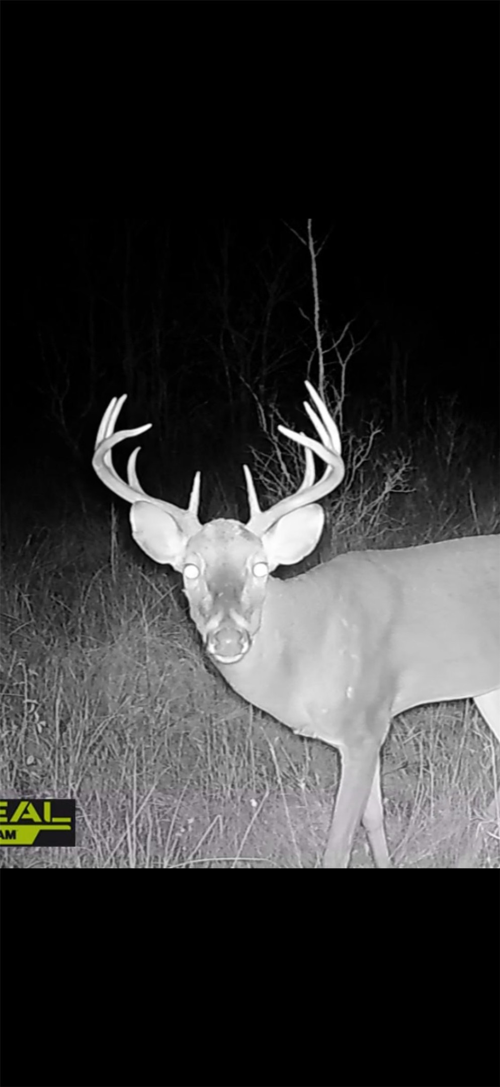 0 Dickey Loop Bedias, TX 77831 - Photo 39 of 40 a picture of a room