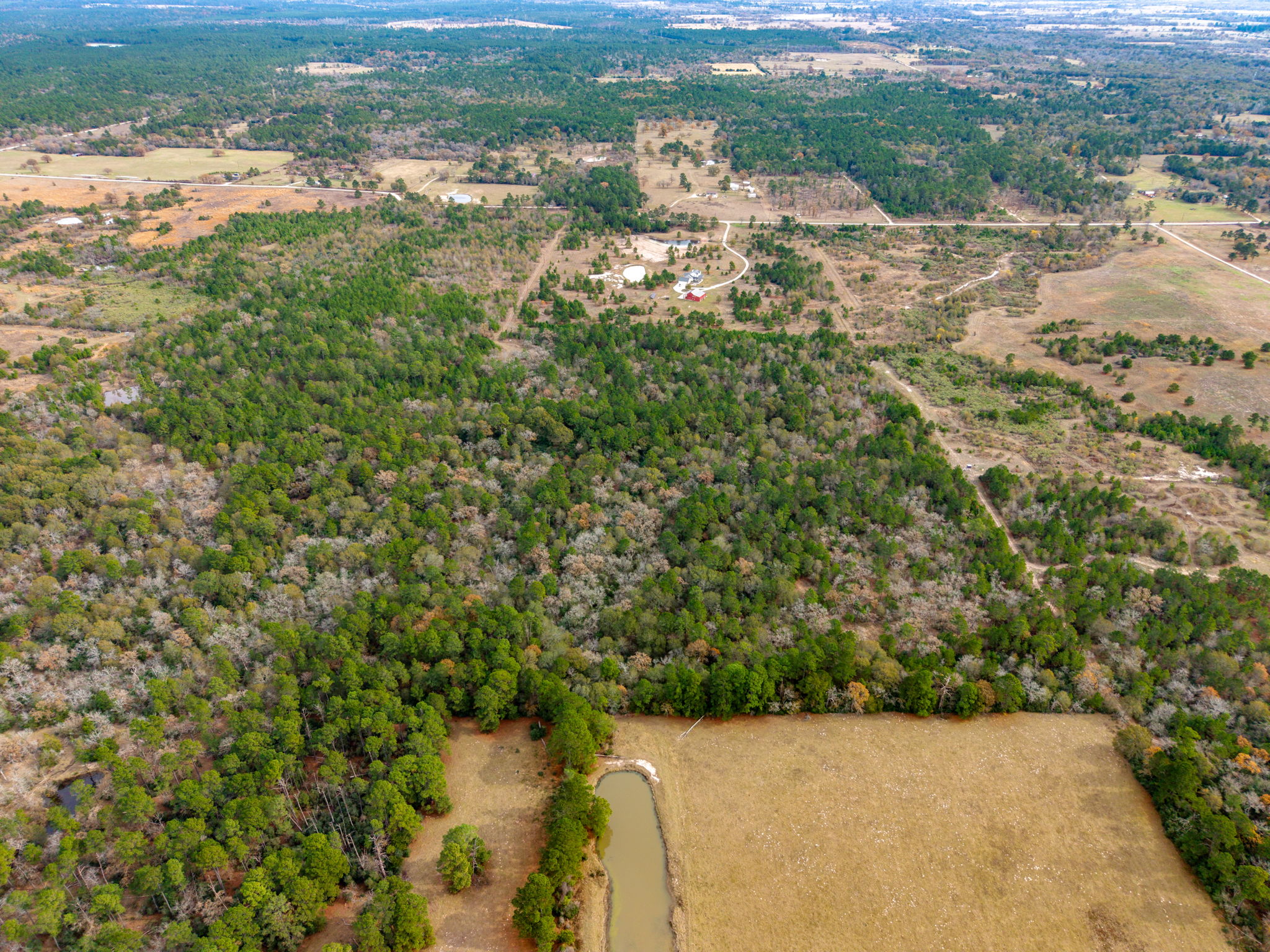 0 Dickey Loop Bedias, TX 77831 - Photo 6 of 40 a view of a lake with beach and green space