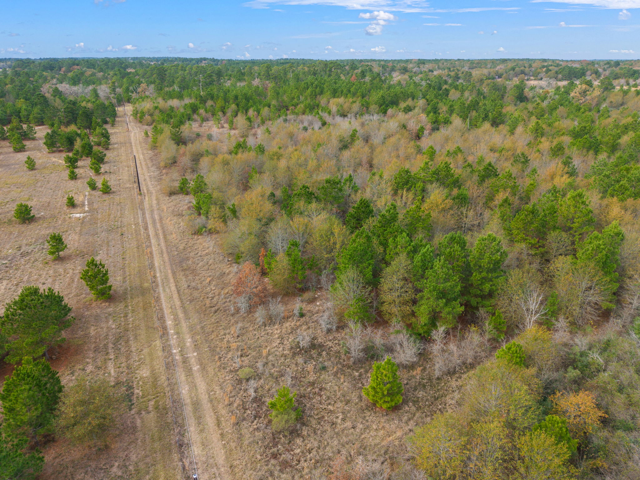 0 Dickey Loop Bedias, TX 77831 - Photo 9 of 40 a view of a yard