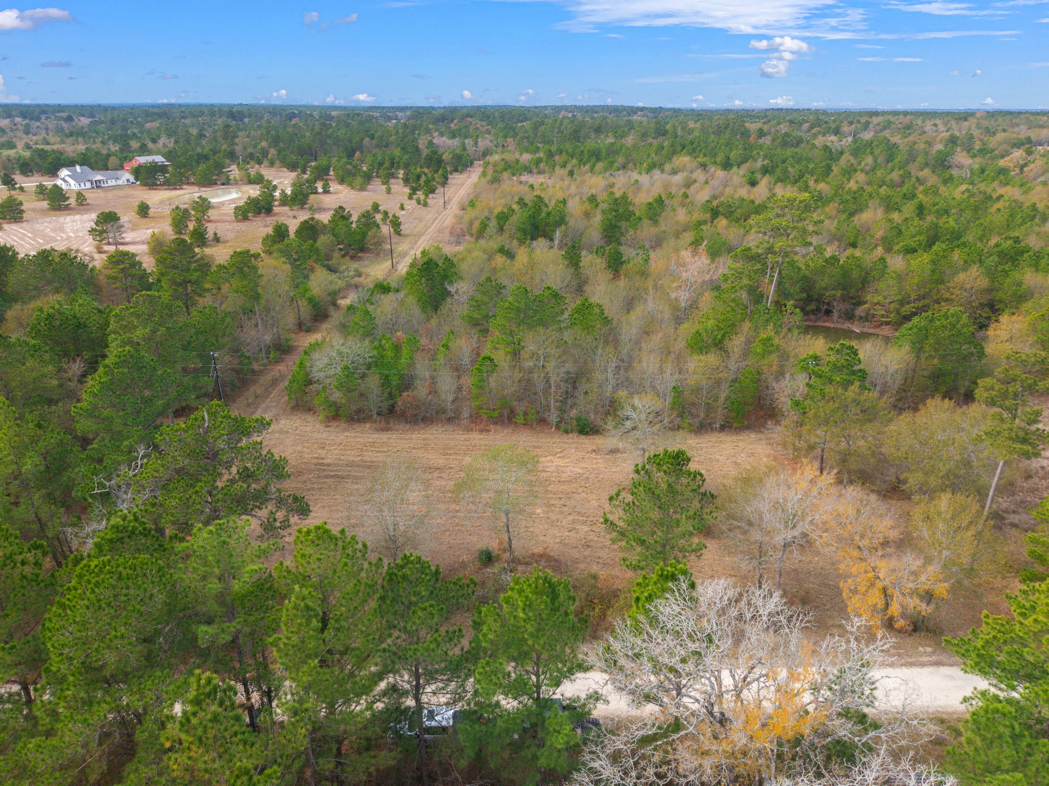 0 Dickey Loop Bedias, TX 77831 - Photo 10 of 40 a view of a yard